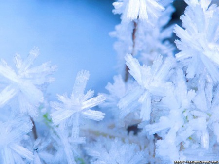 snow cristal deorations jpg - winter, crystals, blue, snow