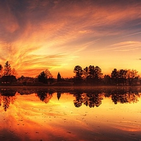 Marvellous Golden Light At Lake