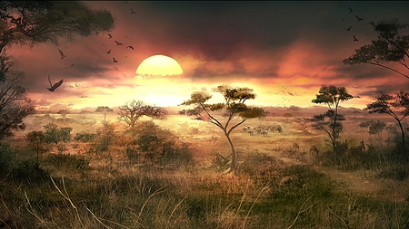 African Sunset - warm, awesome, amazing, beauty, lovely, cool, fascinating