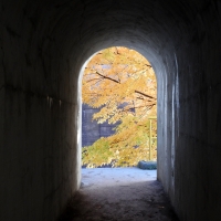 Autumn At The End Of The Tunnel