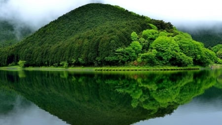 Water Reflection - trees, nature, green, forest, reflection, mountain, sky