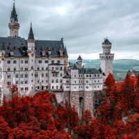 Red Autumn Trees Around Neuschwanstein Castle