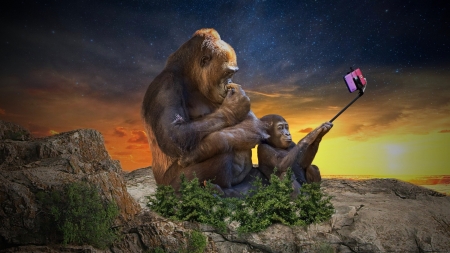 Selfie - selfie, maimuta, creative, pink, monkey, fantasy, smartphone, funny, luminos, gorilla