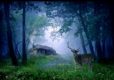 Cottage In the woods - animal, cottage, forest, trees