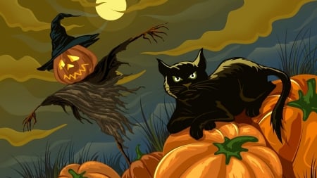 halloween - halloween, pumpkin, cat, scarecrow