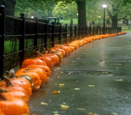 Raining Pumpkins In The Park