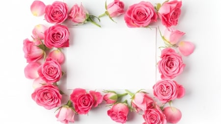 :-) - trandafir, pink, card, rose, frame, flower