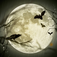 Halloween Moon