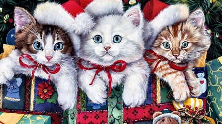 Cats Weihnachten