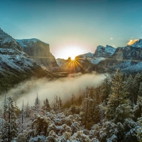 Fog in Yosemite National Park