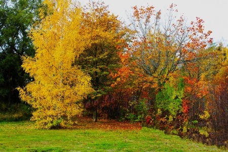 Beautiful Autumn - Orange, Red, Yellow, Green