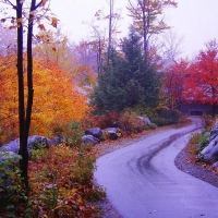 Breathtaking New England in Autumn