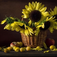 Still life with sunflowers