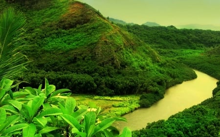 Wailua River,Hawaii - river, trees, nature, green, landscape, hawaii