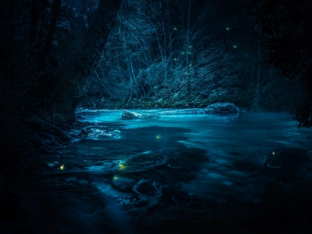 :-) - fantasy, water, blue, fireflies, night, forest, luminos, grafixart