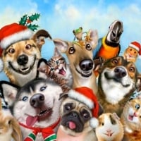 Happy Christmas From The Animals 