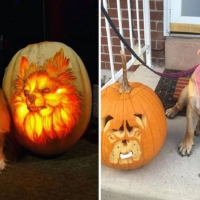 Pumpkin Dogs