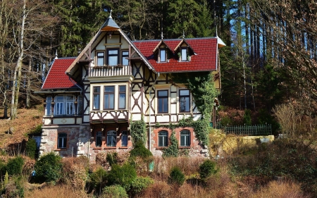 House in Germany - house, architecture, forest, germany