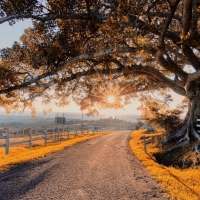 Countryside Road in Autumn