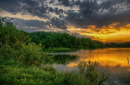 Sunset at the lake - nature, green, lake, sunset