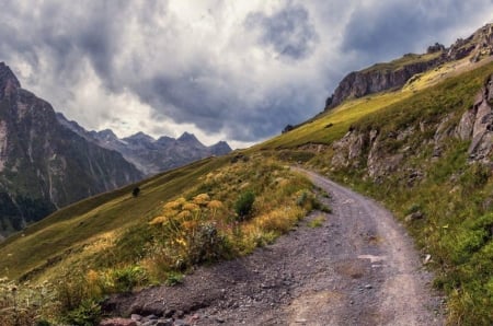 Country Road - road, country, mountains, nature