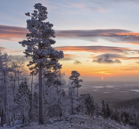 Winter sunset - winter, sunset, nature, tree