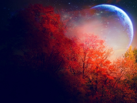 Autumn moon - moon, autumn, fall, luminos, orange, luna, tree, fantasy