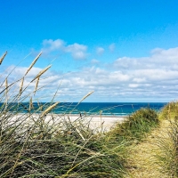 Beach in Denmark