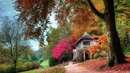 golden autumn - fall, forests, nature, autumn, photography, houses