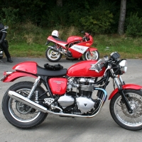 Triumph Thruxton 2008