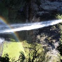 Bridal-Falls-Waikato-New-Zealand