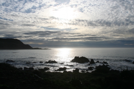 Kaikoura Coast South Island Nz