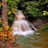 Small forest waterfall