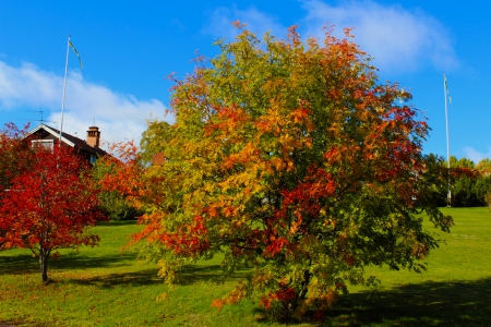 Warm day in the fall. - orange, green, blue, red