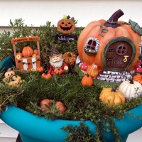 Gnome Pumpkin Patch