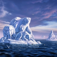 IceBeargs