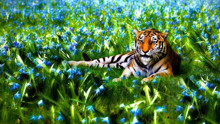 Fantasy Tiger - Blau, Wiese, Tiger, Deutschland