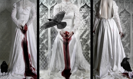 Blood heart and ravens - blood, bird, white, dress, girl, photoshop, gothic, photo