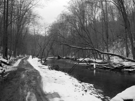 Winter river in the forest