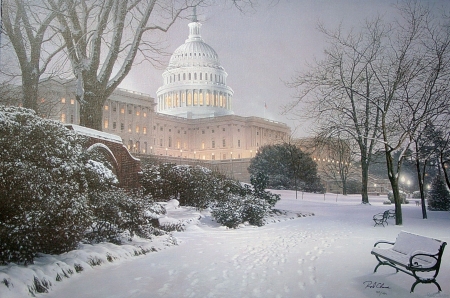 Winter Washington - trees, winter, capitol, evening, snow, bench, city, washington