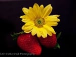 Flower and  fruits