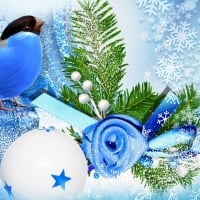 blue-bird-winter-season