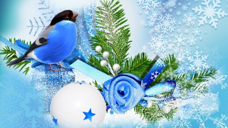 blue-bird-winter-season - winter, deutschland, bird, blue