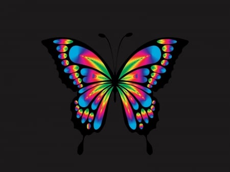 Rainbow butterfly - Multicolored, Bright, Multicolor, Butterfly, Shine, Multicolir