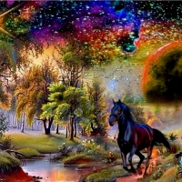 Black Horse Rainbow Painted With Diamonds