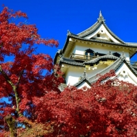 Hikone Castle (Shiga) Japan