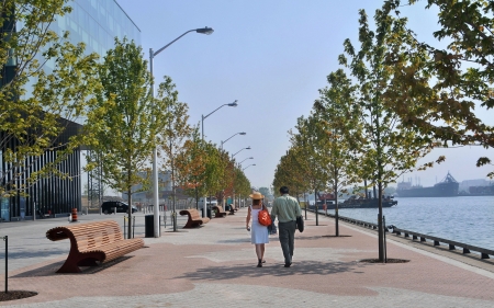 Promenade in Toronto, Canada - trees, promenade, Toronto, Canada, benches