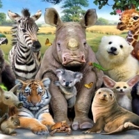 Save The Beautiful Animals