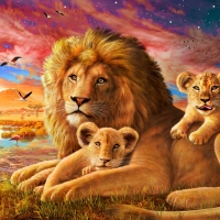 Lion And Baby Cubs Sunrise