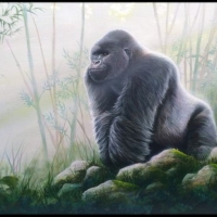 Silverback In The Mist